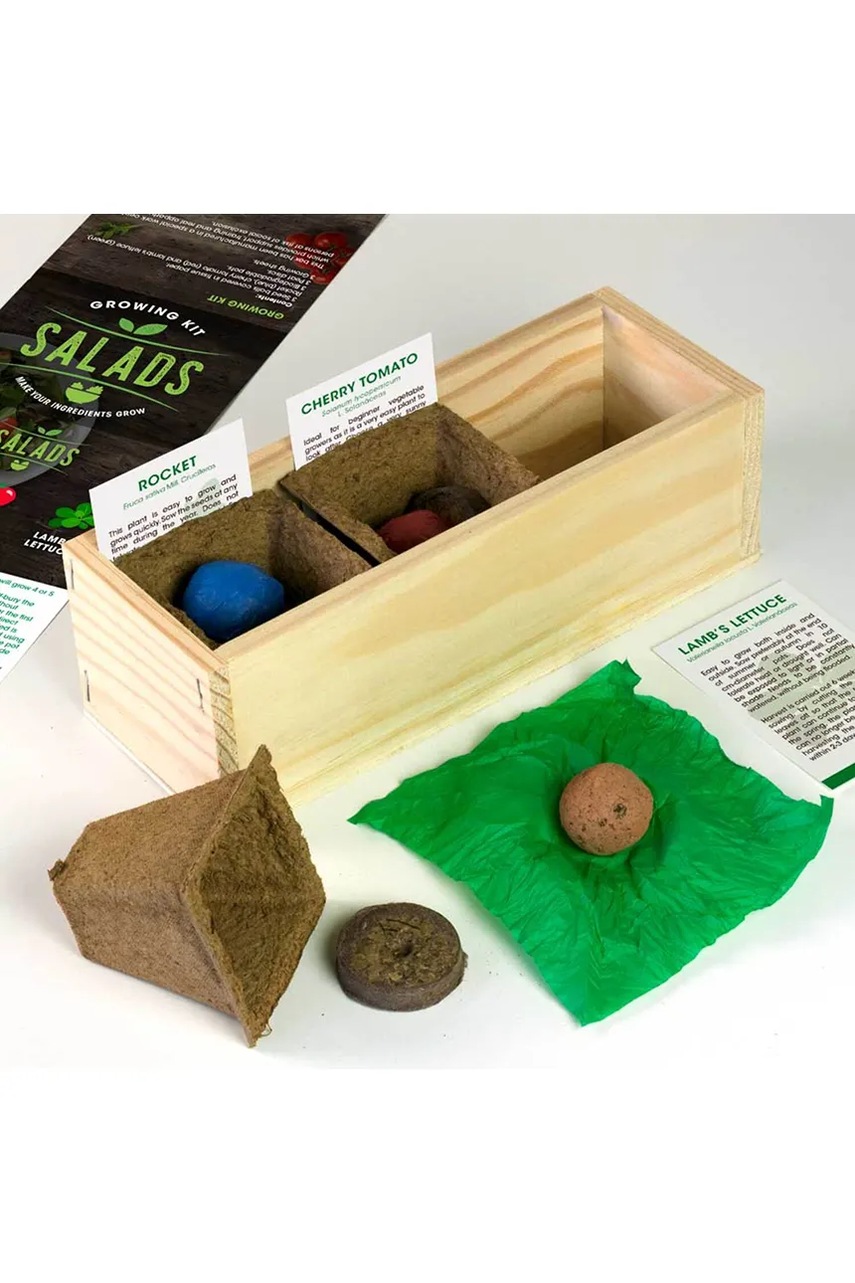Σετ για καλλιέργεια μαρουλιού RESETEA Salad Growing Kit 21 x 7,8 x 6,5 cm φωτογραφία