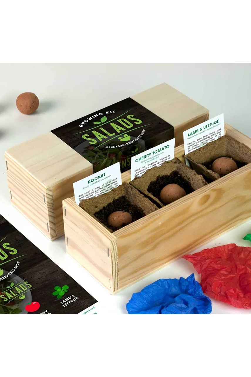 Σετ για καλλιέργεια μαρουλιού RESETEA Salad Growing Kit 21 x 7,8 x 6,5 cm φωτογραφία