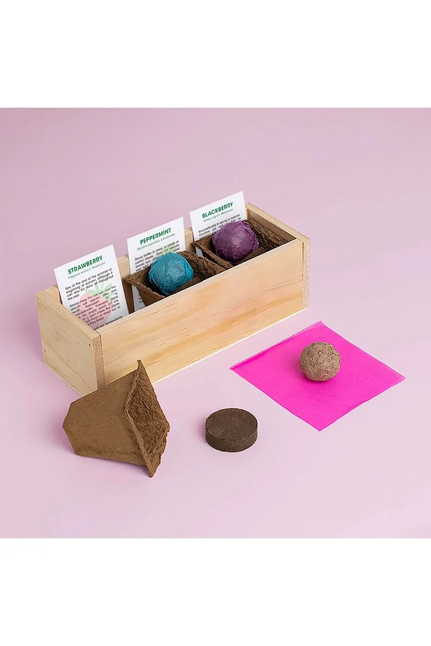 Σετ για την καλλιέργεια φυτών RESETEA Desserts Growing Kit 21 x 7,8 x 6,5 cm φωτογραφία