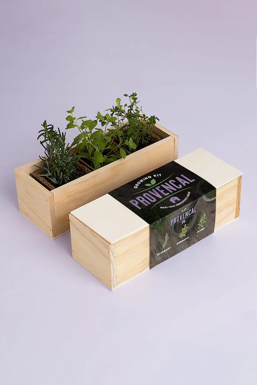 RESETEA kit de cultivare a plantelor aromatice Provencal Growing Kit 21 x 7,8 x 6,5 cm