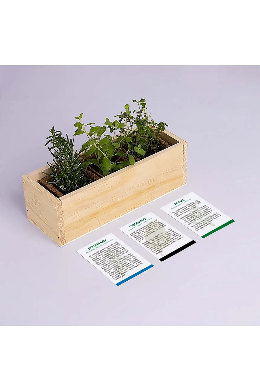 Σετ για καλλιέργεια βοτάνων RESETEA Provencal Growing Kit 21 x 7,8 x 6,5 cm φωτογραφία