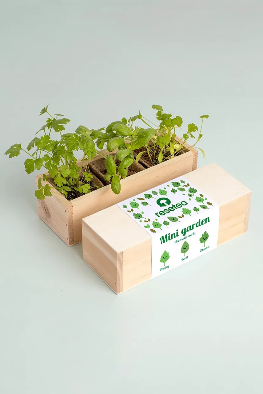 RESETEA kit de cultivare a plantelor aromatice Mini garden Aromatic herbs 21 x 7,8 x 6,5 cm