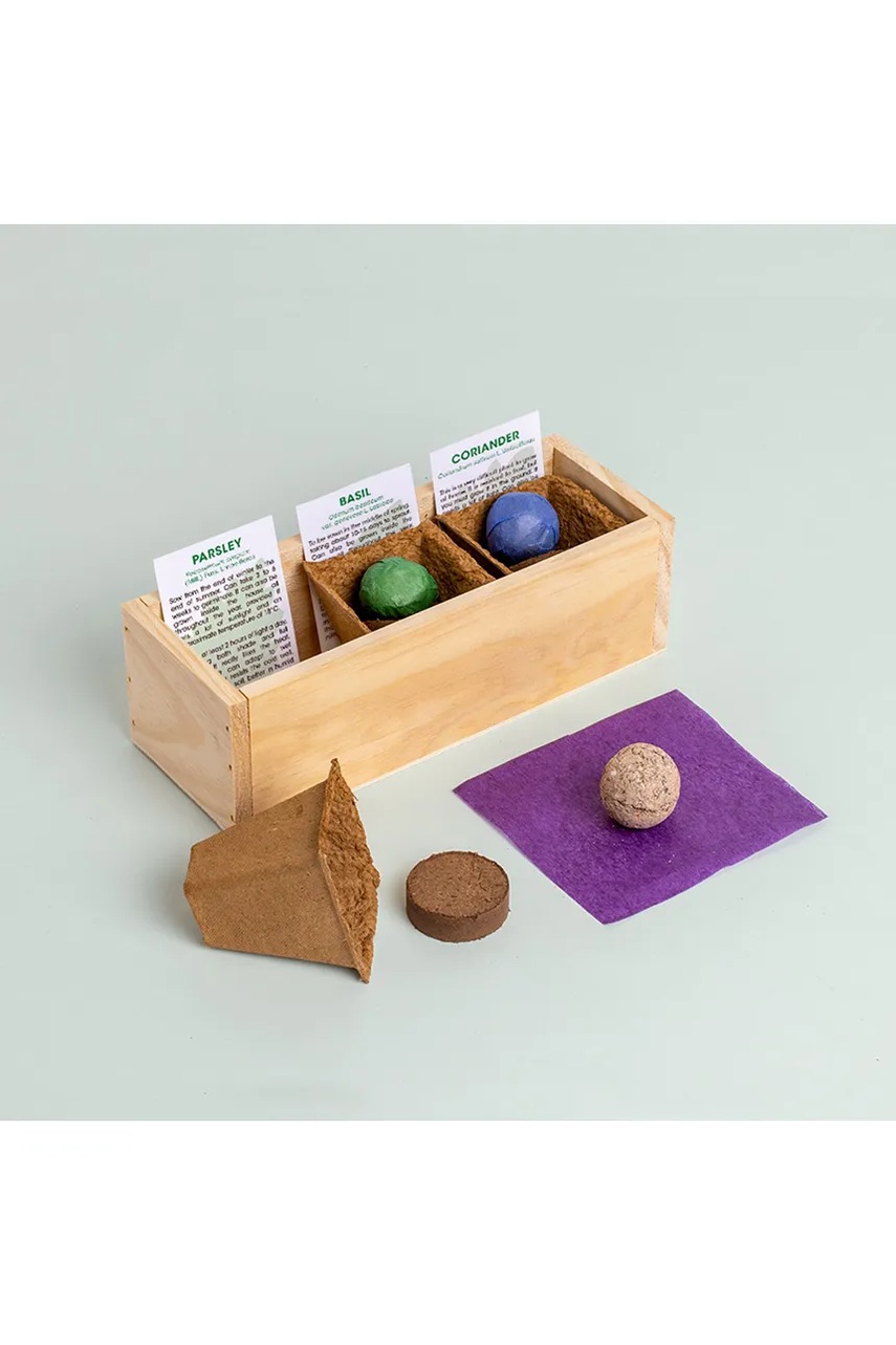 Σετ για καλλιέργεια βοτάνων RESETEA Mini garden Aromatic herbs 21 x 7,8 x 6,5 cm φωτογραφία