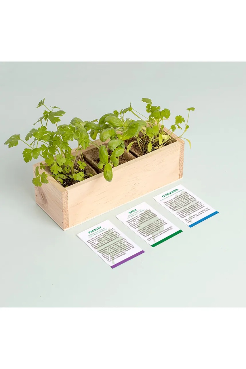 Σετ για καλλιέργεια βοτάνων RESETEA Mini garden Aromatic herbs 21 x 7,8 x 6,5 cm φωτογραφία