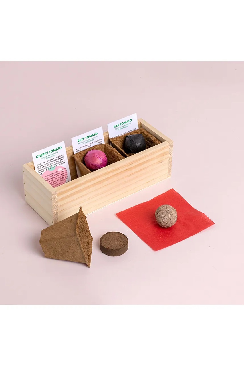 Σετ για την καλλιέργεια φυτών RESETEA Mini garden Tomatoes 21 x 7,8 x 6,5 cm φωτογραφία