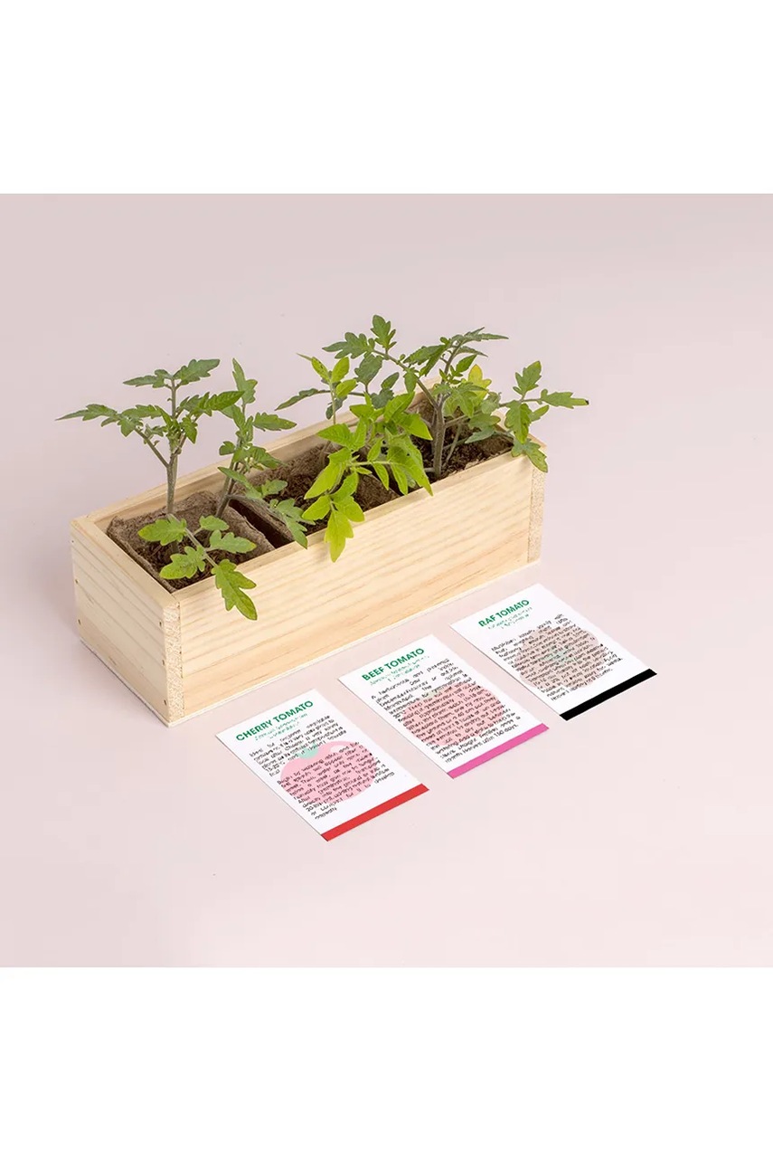 Σετ για την καλλιέργεια φυτών RESETEA Mini garden Tomatoes 21 x 7,8 x 6,5 cm φωτογραφία