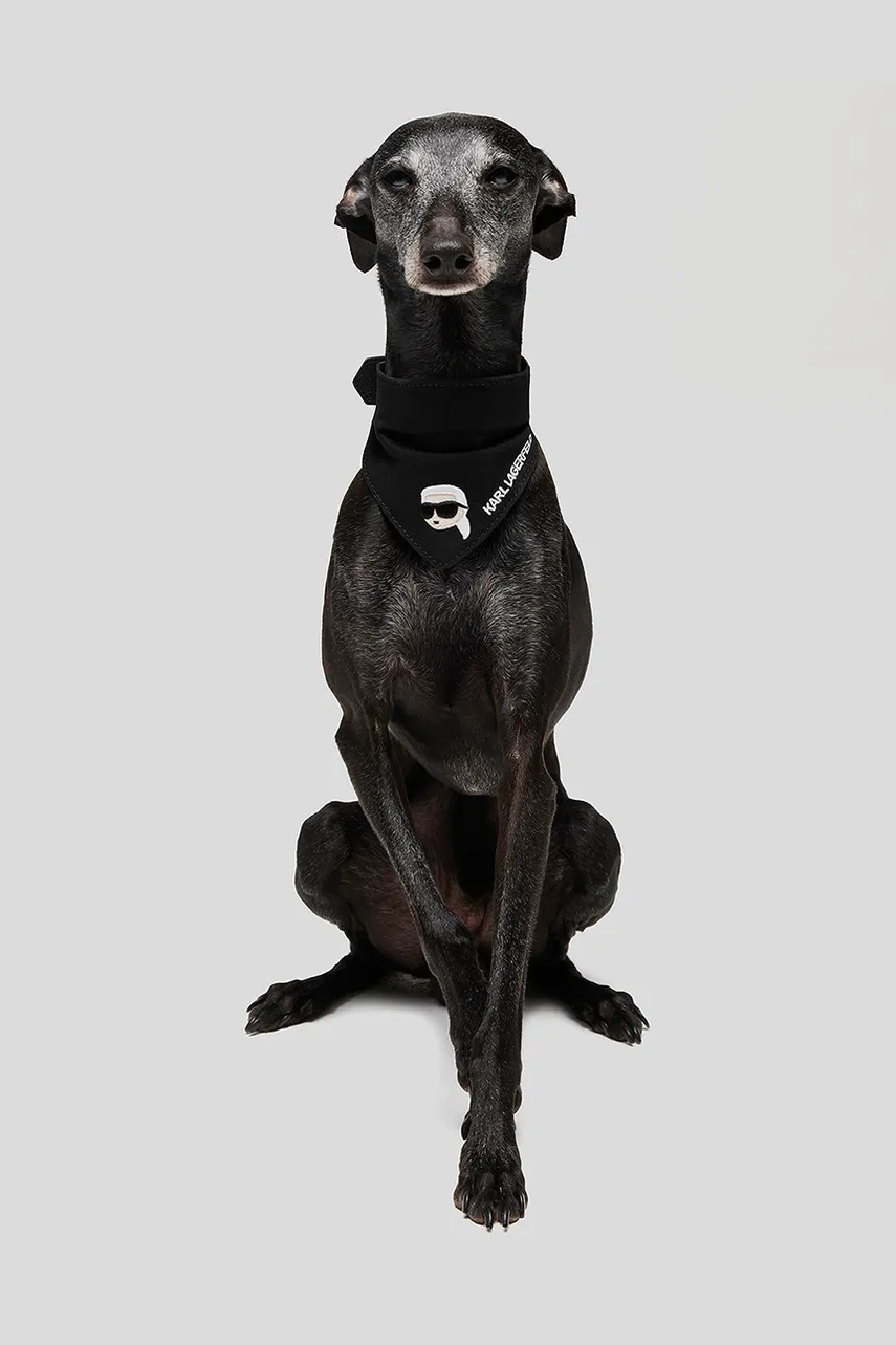 Κολάρο για σκύλους Karl Lagerfeld Ikon χρώμα: μαύρο, A1W42042 φωτογραφία