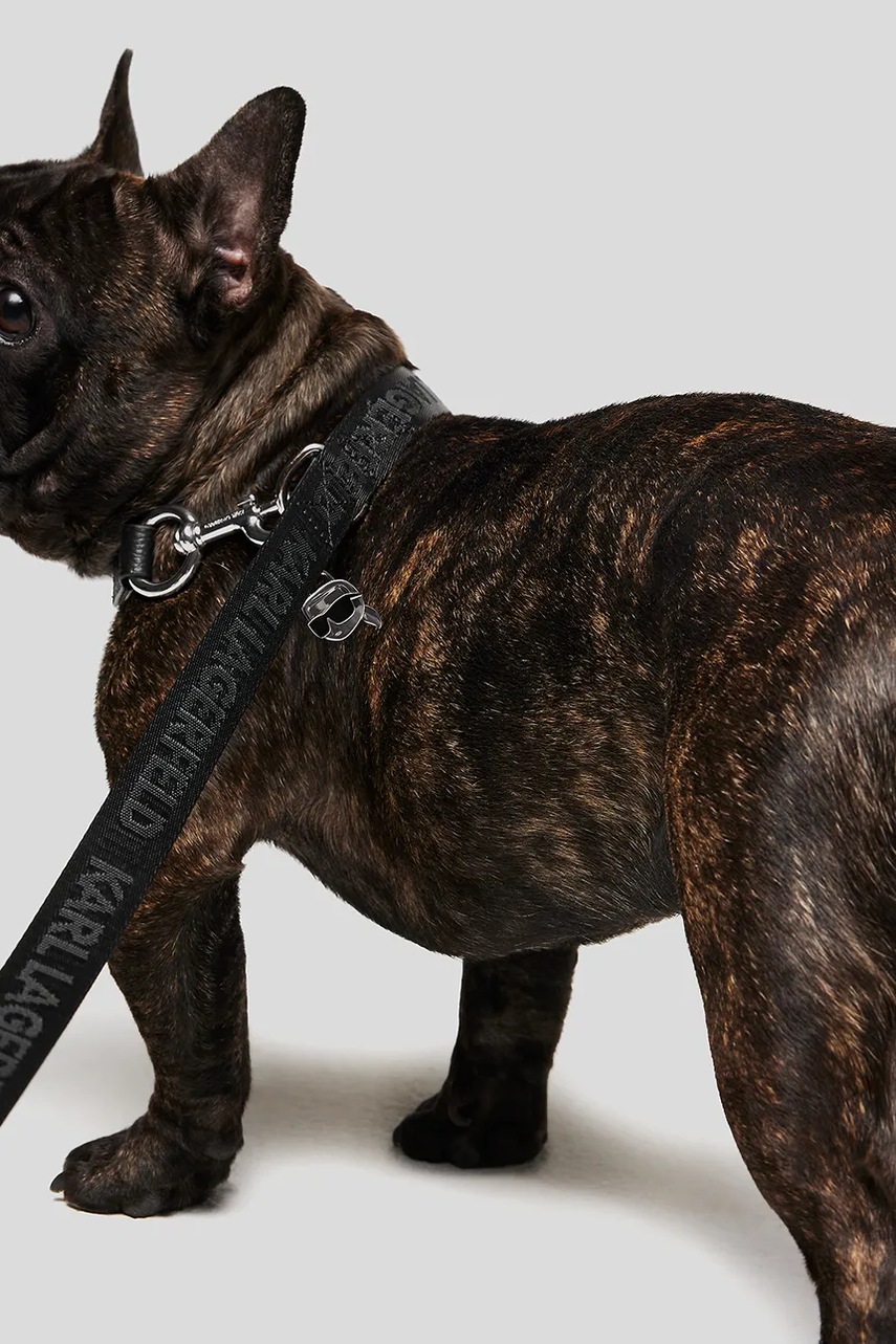 Λουρί σκύλου με θήκη Karl Lagerfeld Ikon φωτογραφία