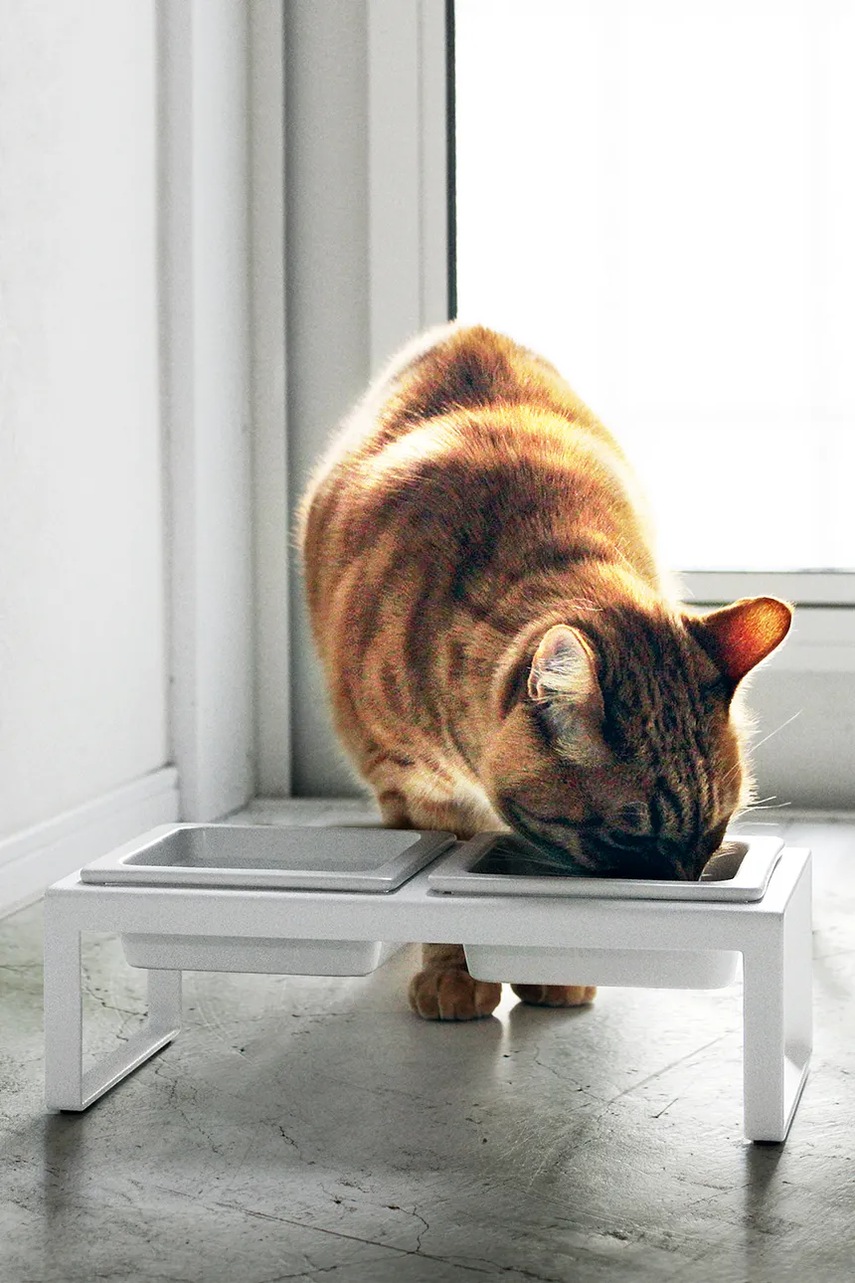 Ένα διπλό μπολ για κατοικίδιο Yamazaki Tower 300 ml φωτογραφία