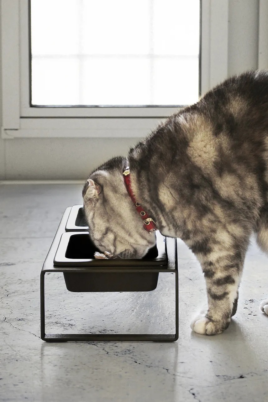 Ένα διπλό μπολ για κατοικίδιο Yamazaki Tower 300 ml χρώμα: μαύρο φωτογραφία