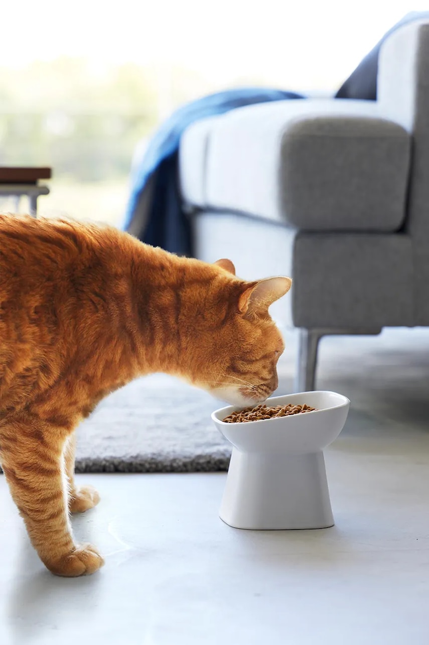 Miska pro mazlíčka Yamazaki Tower 200 ml