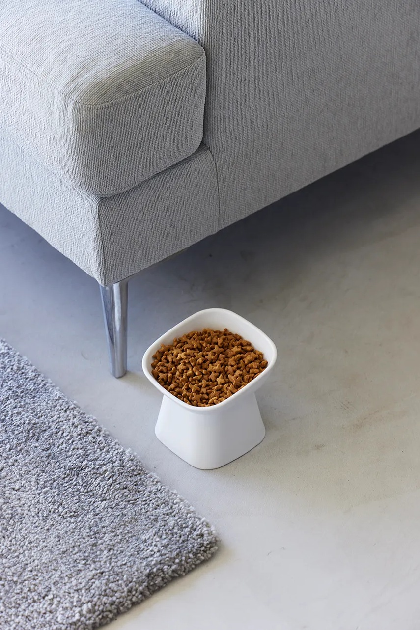 Μπολ για κατοικίδια Yamazaki Tower 200 ml χρώμα: άσπρο φωτογραφία