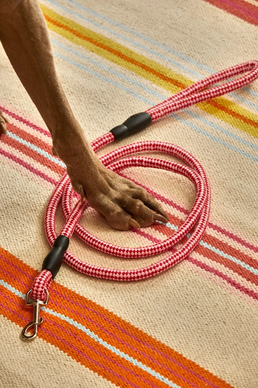 Λουρί σκύλου Calma House 180 cm φωτογραφία