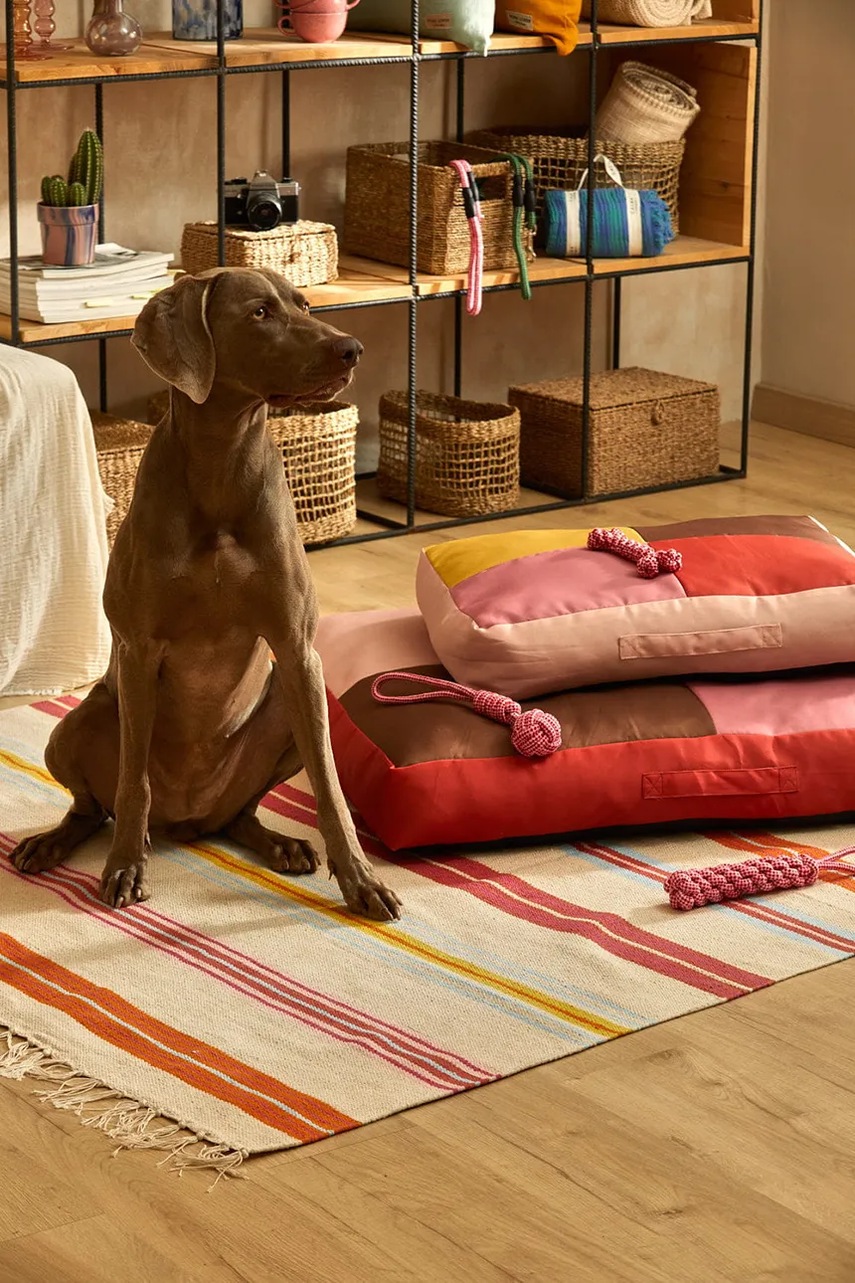 Μαξιλάρι σκύλου Buby L χρώμα: πολύχρωμο φωτογραφία