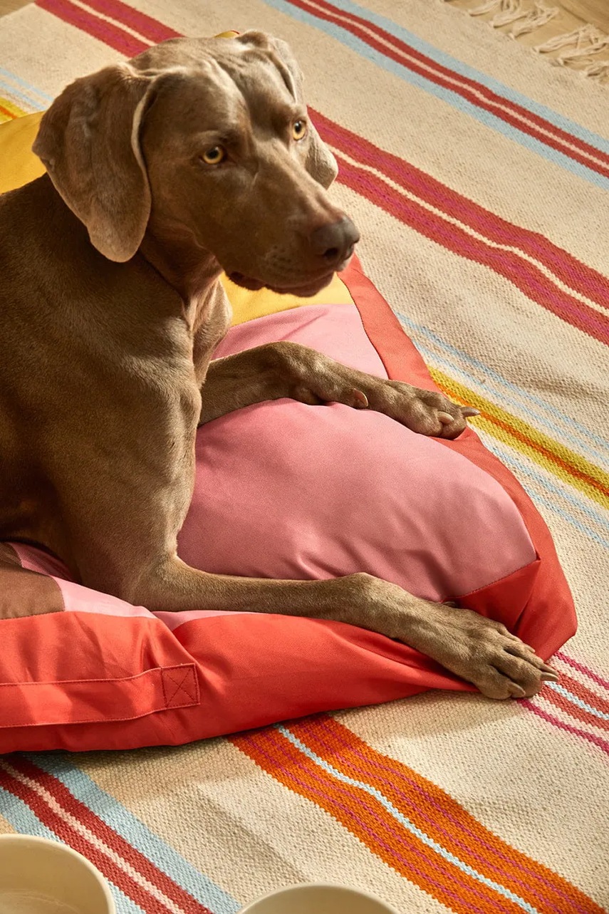 Μαξιλάρι σκύλου Buby L χρώμα: πολύχρωμο φωτογραφία