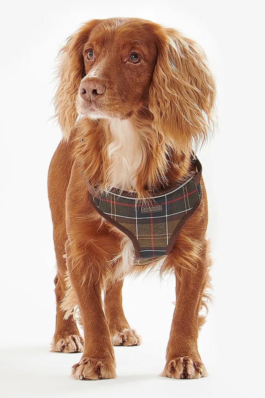 Barbour Postroj pre psa Barbour Travel And Exercise (obrázok 6)