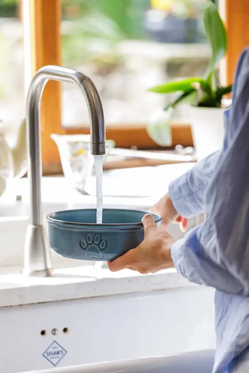 Μπολ για κατοικίδια Mason Cash Reactive Paw 18 cm φωτογραφία