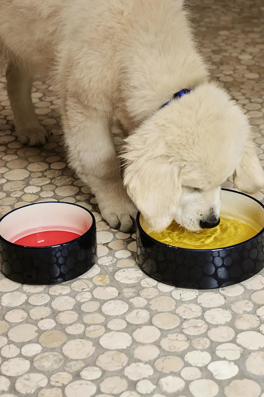 Miska pro mazlíčka HAY S / 15,5 x 7 cm (obrázek 3)