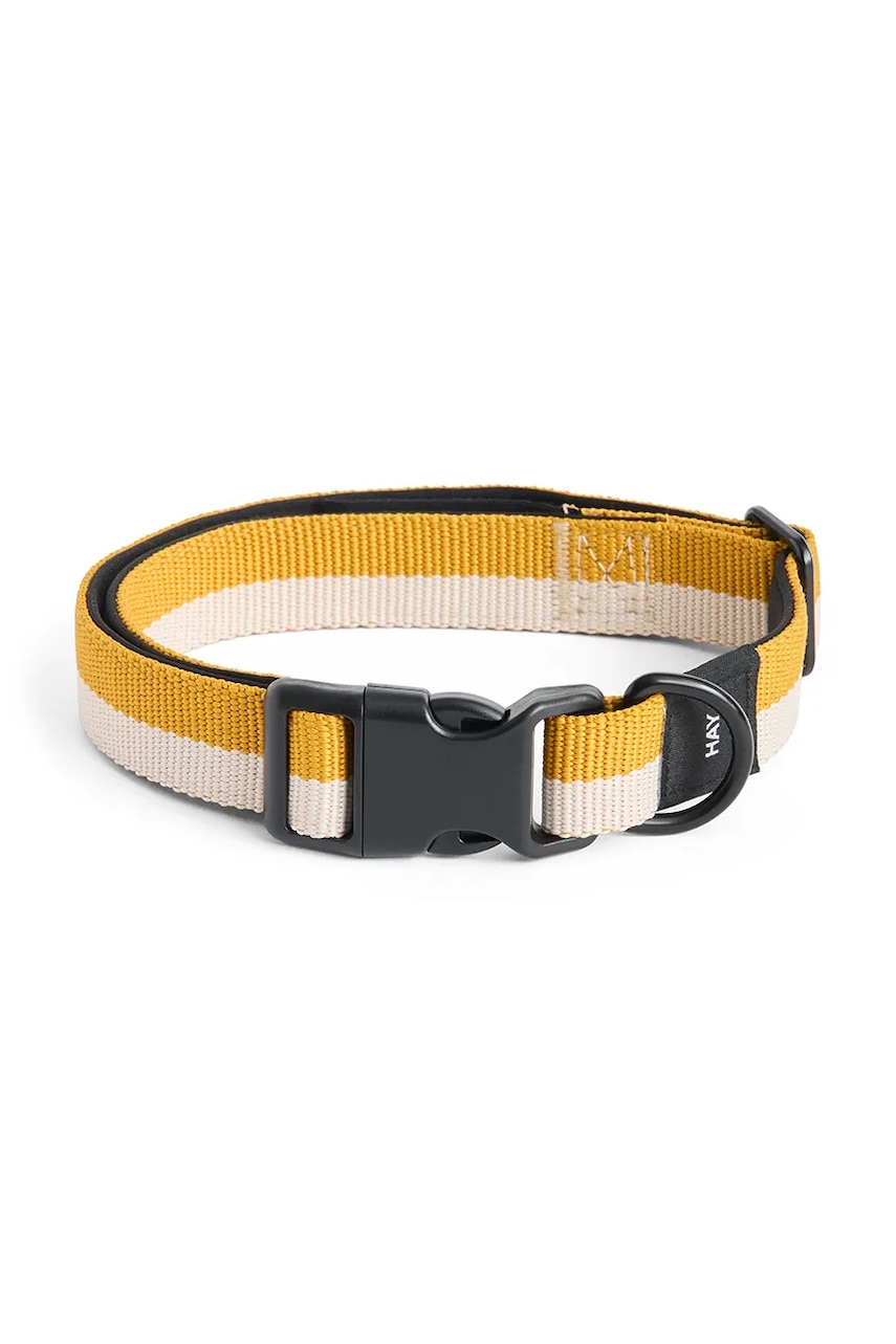 Levně Psí obojek HAY M/L 2,5 x 40-65 cm žlutá barva