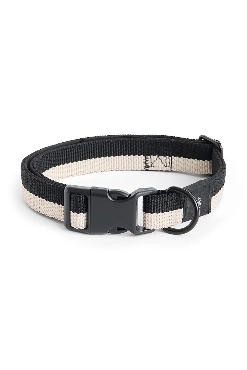 Levně Psí obojek HAY M/L 2,5 x 40-65 cm černá barva