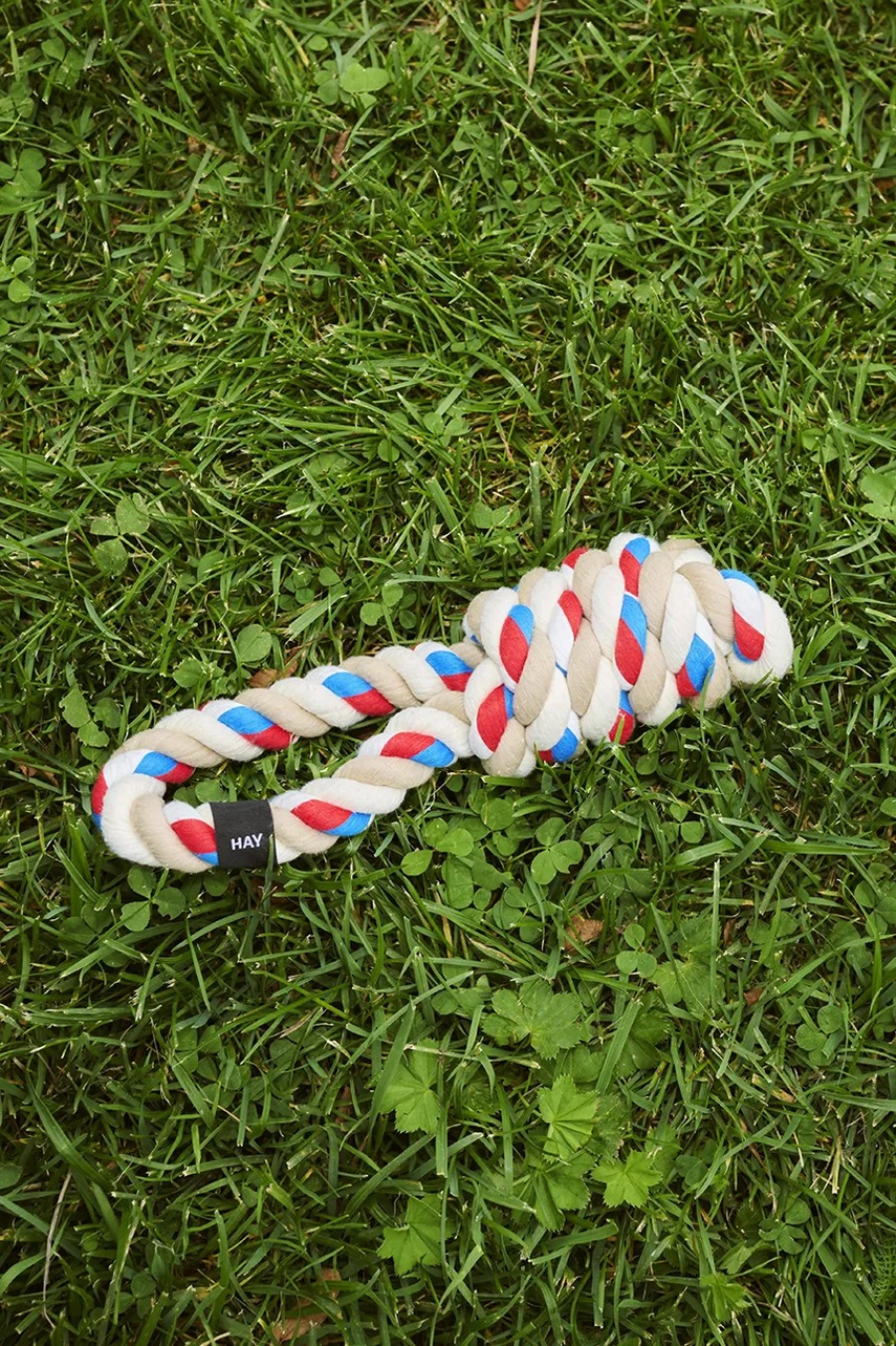 Παιχνίδι σκύλου HAY 8 x 29 cm χρώμα: πολύχρωμο φωτογραφία