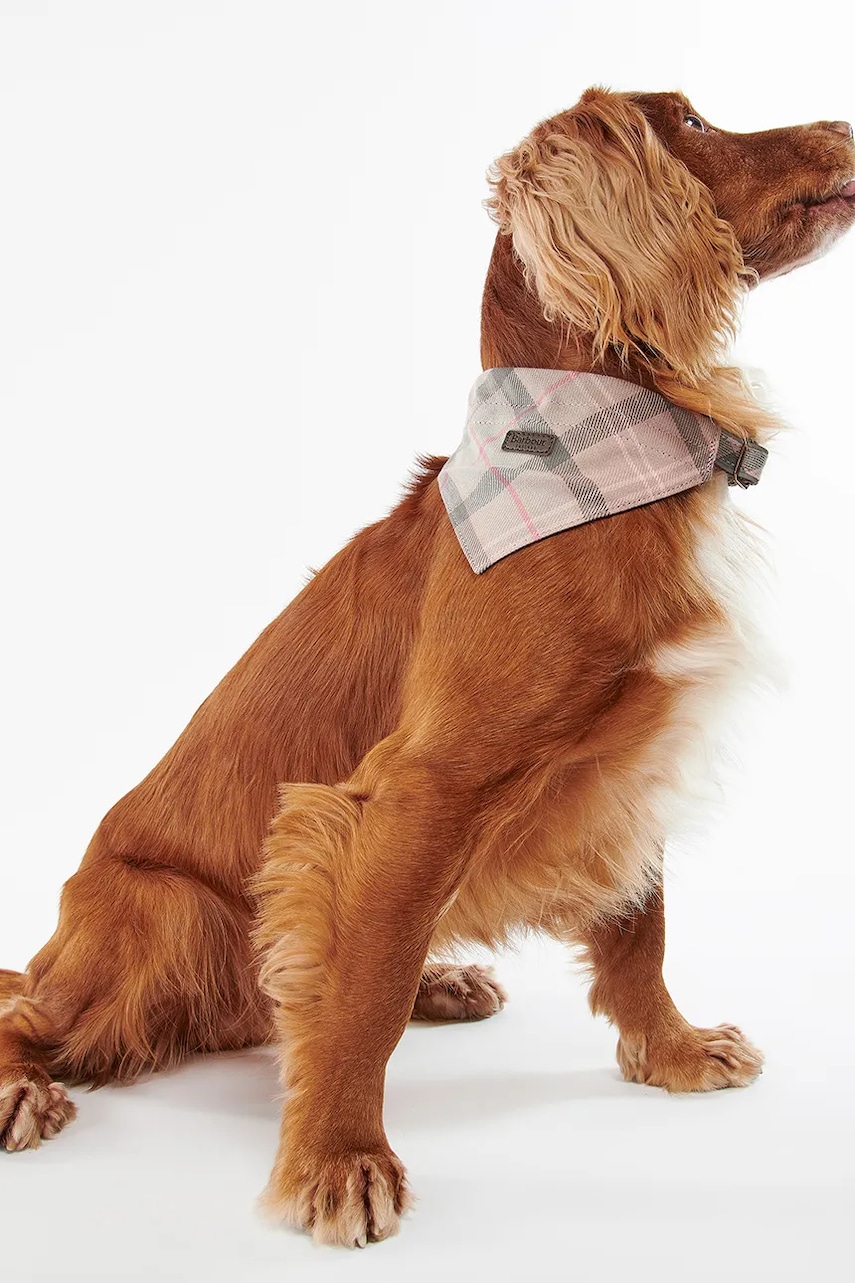 Multifunkčná šatka pre domáce zvieratá Barbour Tartan Dog