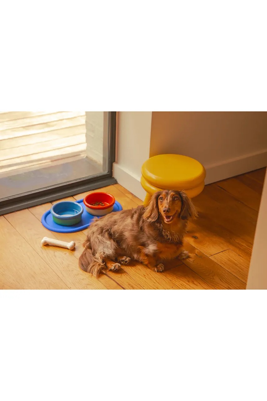 Σετ μπολ με βάση για κατοικίδια Areaware Every Pet Eats Set 3 elementy χρώμα: πολύχρωμο φωτογραφία