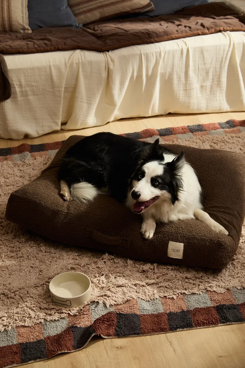 Κρεβάτι για κατοικίδια Calma House 90 x 75 x 12 cm φωτογραφία