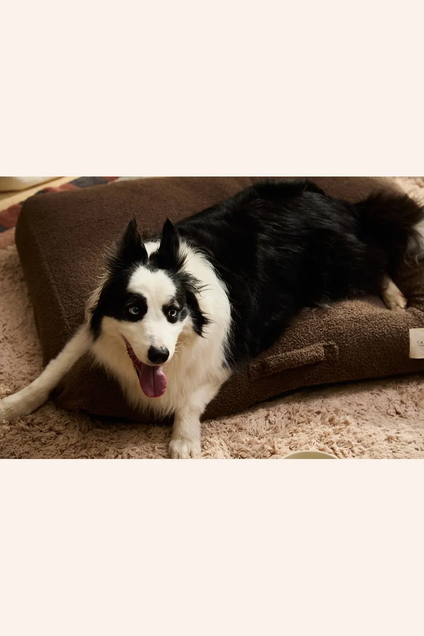 Κρεβάτι για κατοικίδια Calma House 90 x 75 x 12 cm φωτογραφία