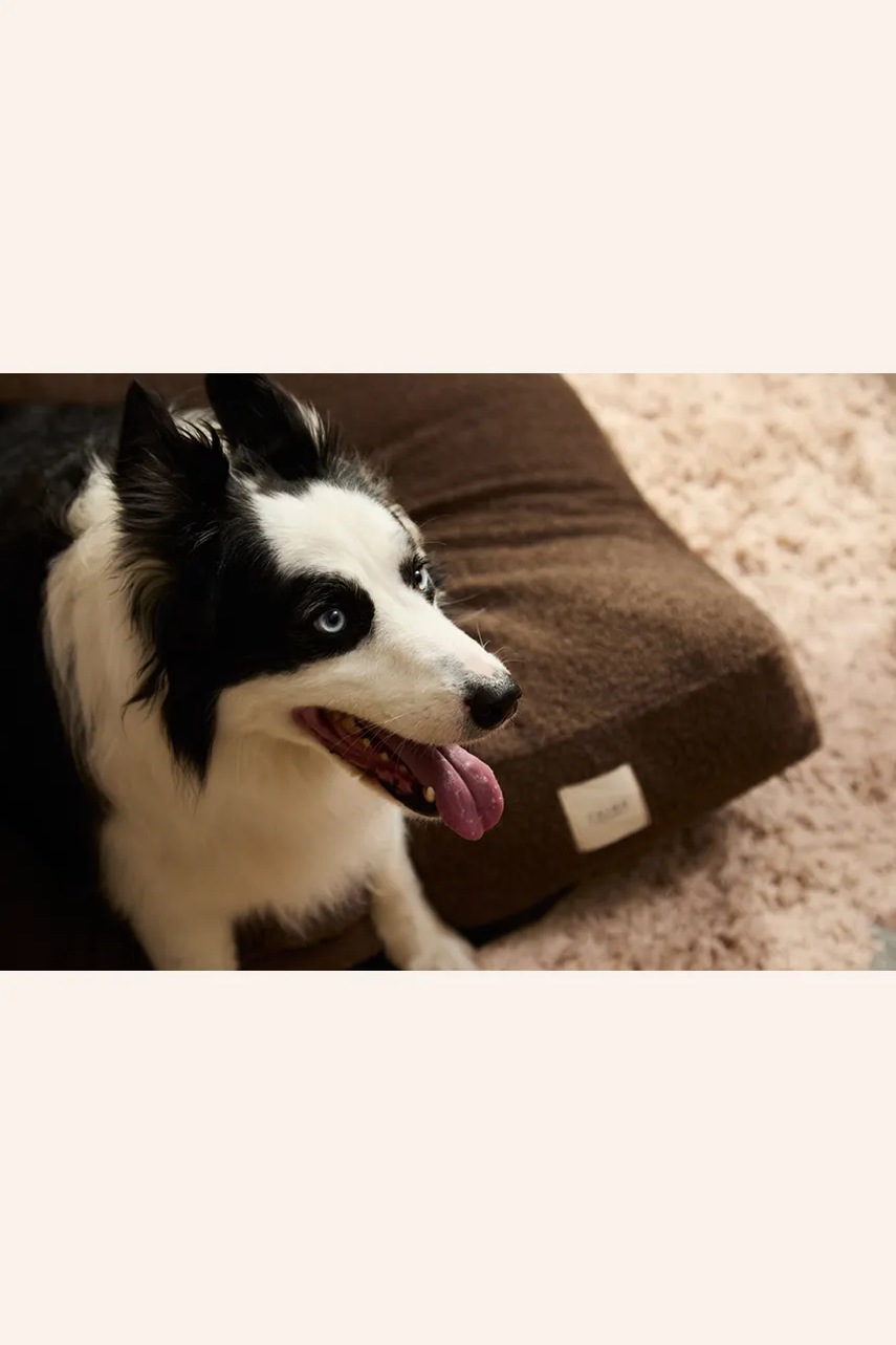 Κρεβάτι για κατοικίδια Calma House 90 x 75 x 12 cm φωτογραφία