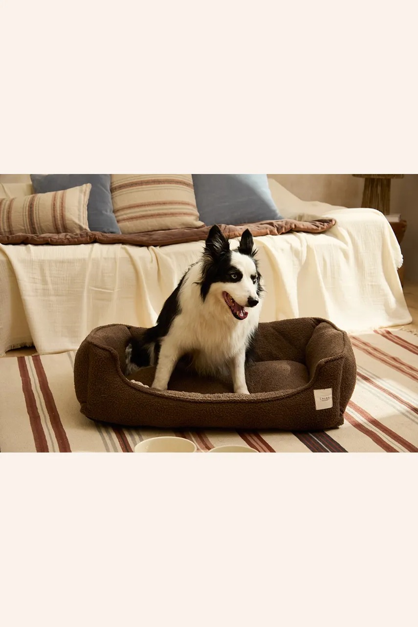 Κρεβάτι για κατοικίδια Calma House 87 x 58 x 25 cm φωτογραφία