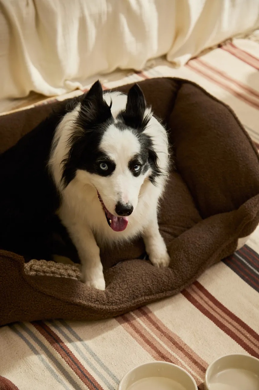 Κρεβάτι για κατοικίδια Calma House 87 x 58 x 25 cm φωτογραφία