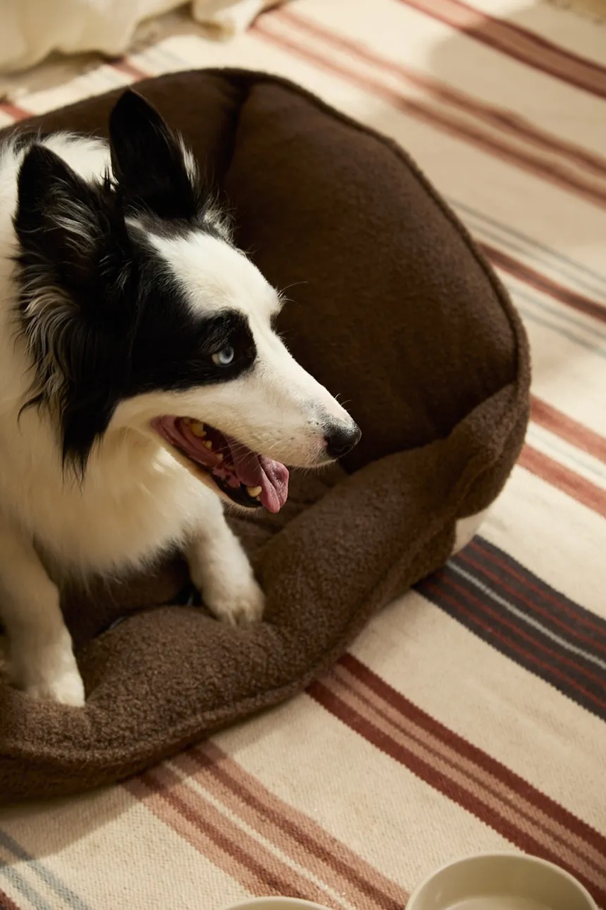 Κρεβάτι για κατοικίδια Calma House 87 x 58 x 25 cm φωτογραφία