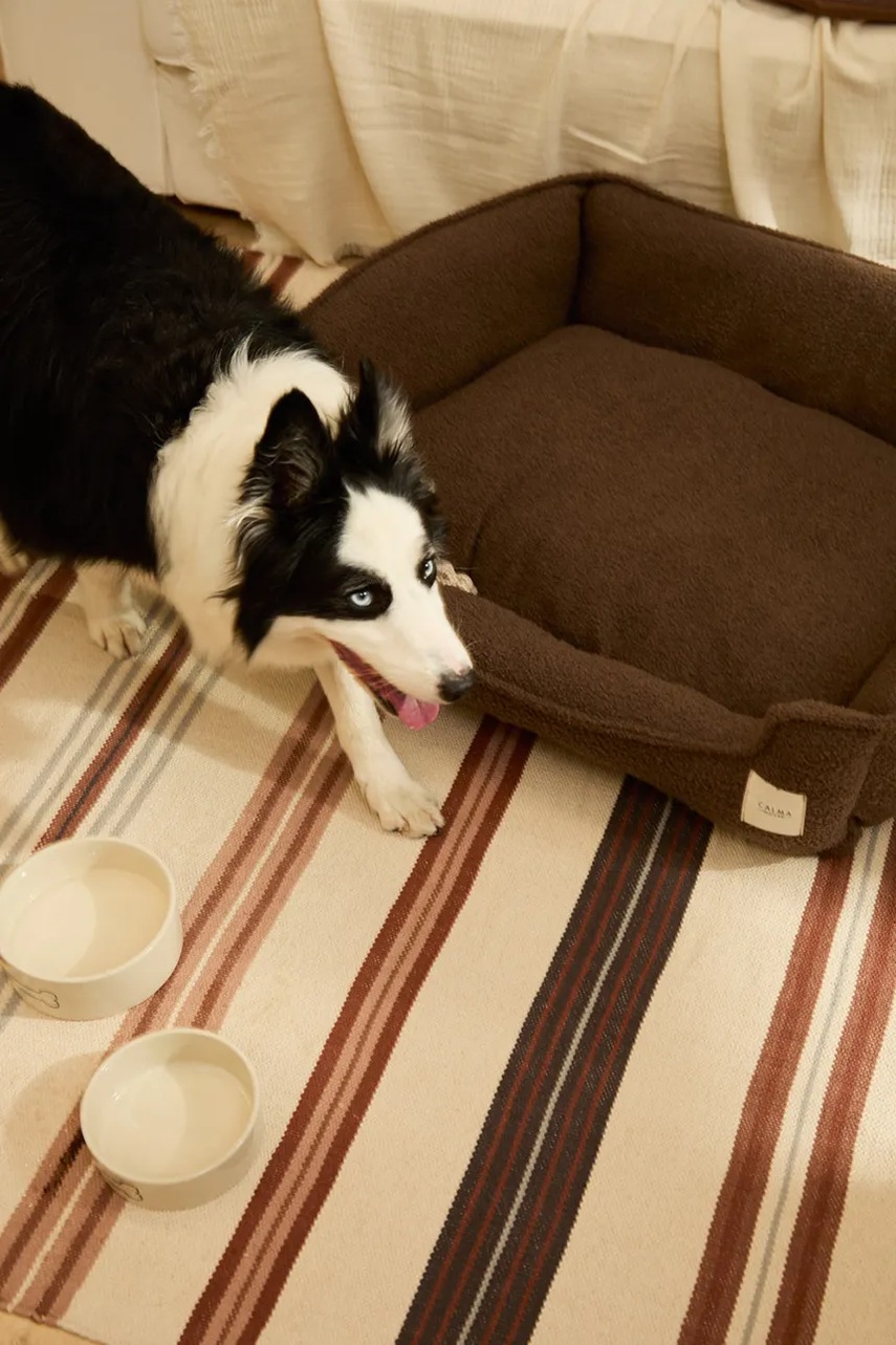 Κρεβάτι για κατοικίδια Calma House 87 x 58 x 25 cm φωτογραφία