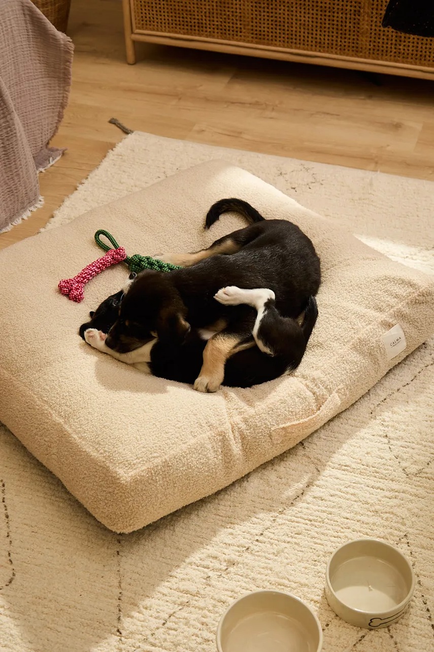 Κρεβάτι για κατοικίδια Calma House Taico 90 x 75 x 12 cm φωτογραφία