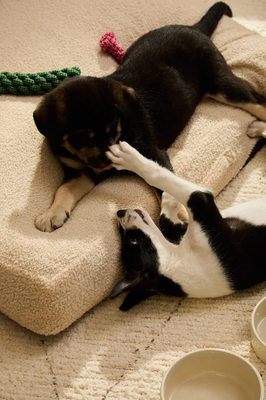 Κρεβάτι για κατοικίδια Calma House Taico 90 x 75 x 12 cm φωτογραφία