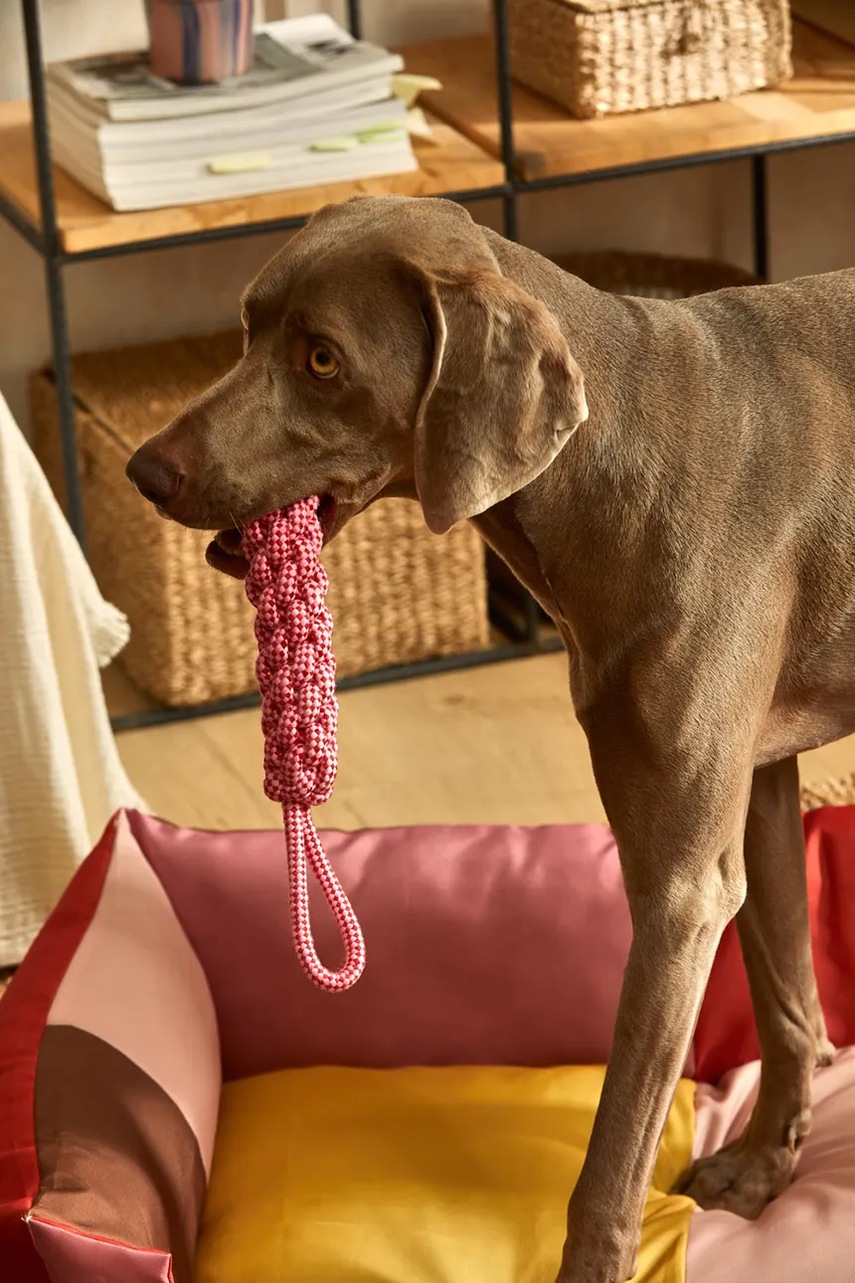 Παιχνίδι για κατοικίδιο Calma House Buby 31 cm χρώμα: ροζ φωτογραφία