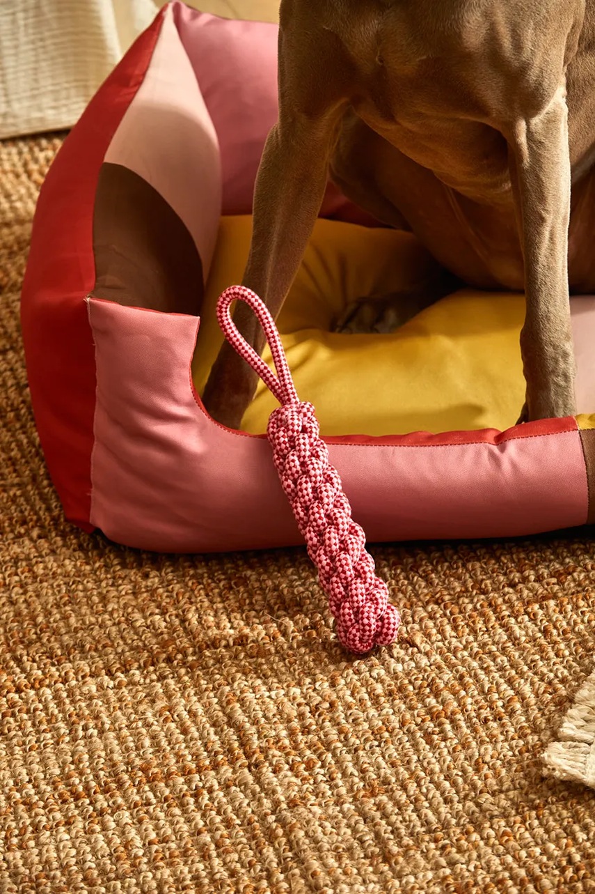 Παιχνίδι για κατοικίδιο Calma House Buby 31 cm χρώμα: ροζ φωτογραφία