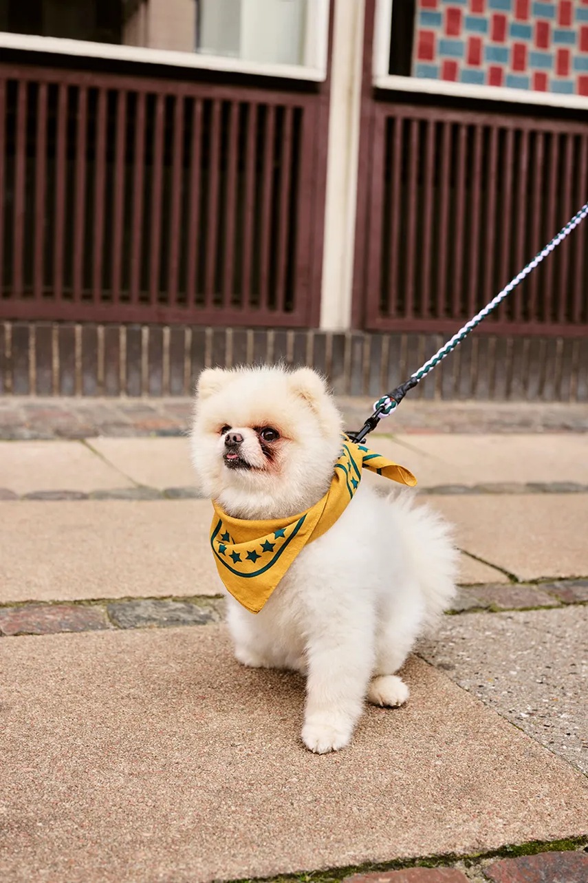 Vodítko pro psa HAY M/L 160 cm