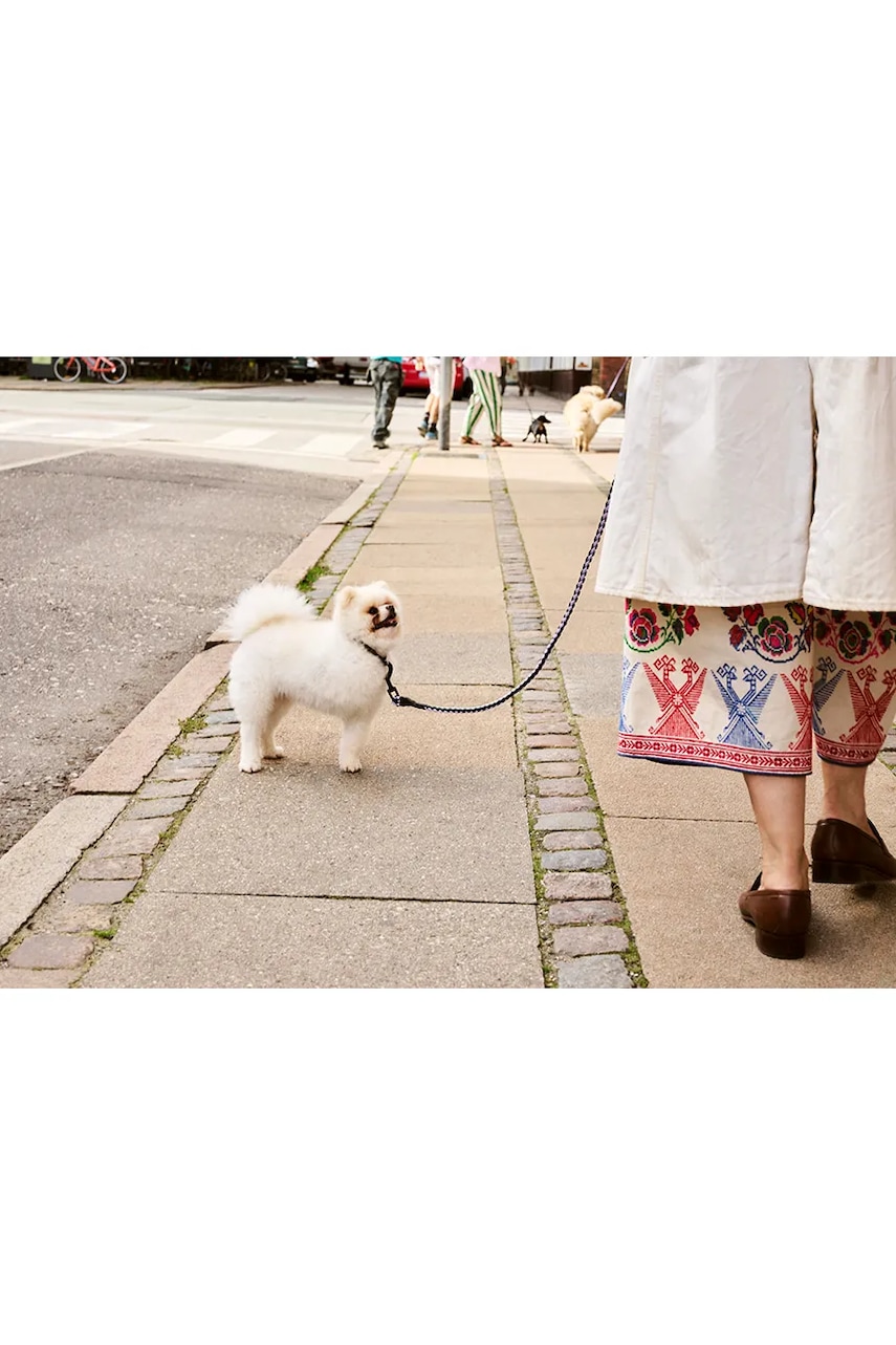 Vodítko pro psa HAY M/L 160 cm