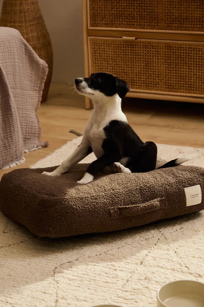 Μαξιλάρι σκύλου Calma House Taico 60 x 40 x 12 cm φωτογραφία