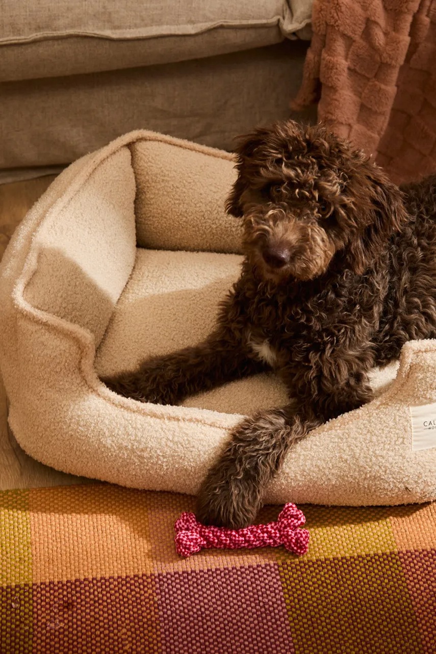 Κρεβάτι για κατοικίδια Calma House Taico 60 x 45 x 23 cm φωτογραφία