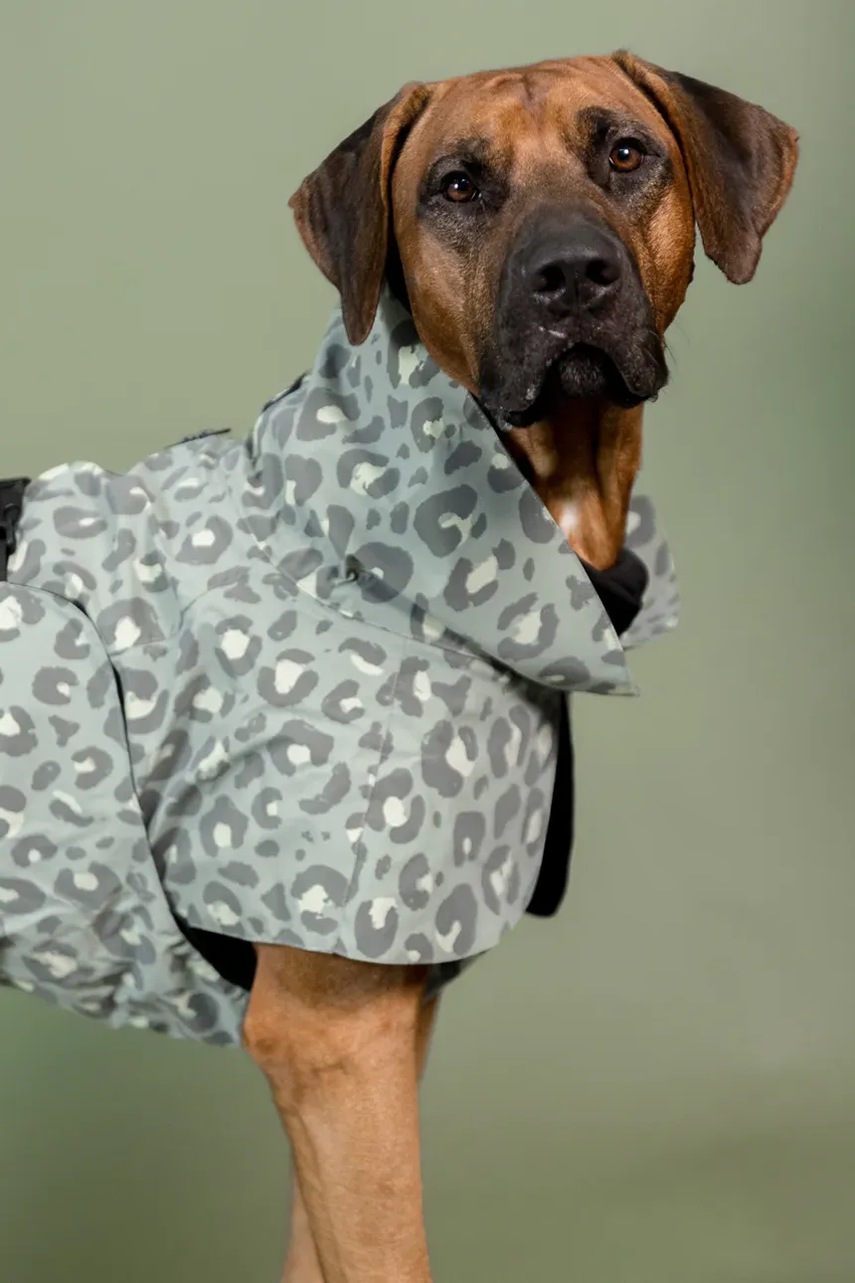 Αδιάβροχο παλτό για σκύλο PAIKKA Visibility Raincoat 41 x 26 x 0,9 cm φωτογραφία