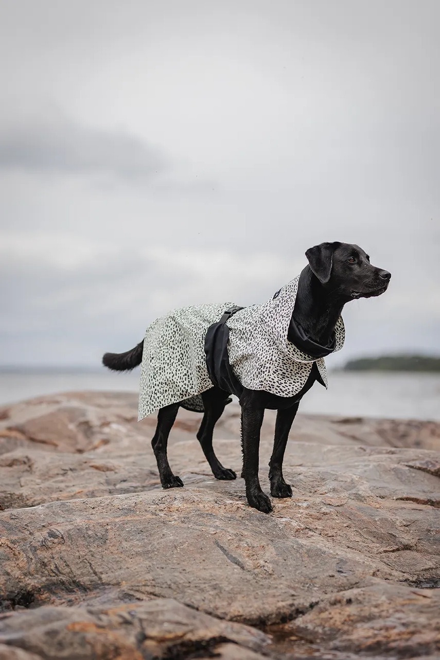 Αδιάβροχο παλτό για σκύλο PAIKKA Raincoat 2.0 41 x 26 x 0,9 cm φωτογραφία