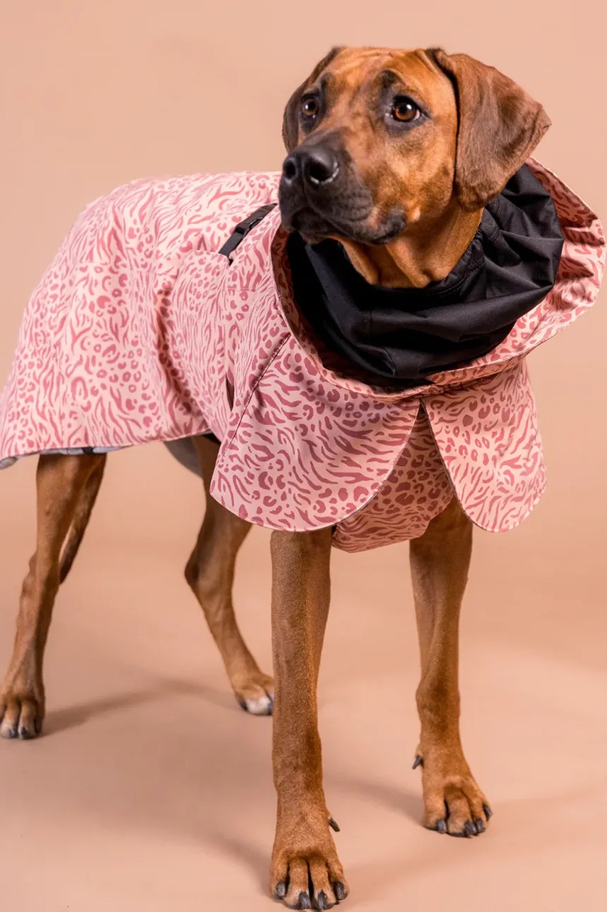 Χειμερινό παλτό για σκύλο PAIKKA Visibility Winter Jacket 48 x 42 x 2,1 cm φωτογραφία