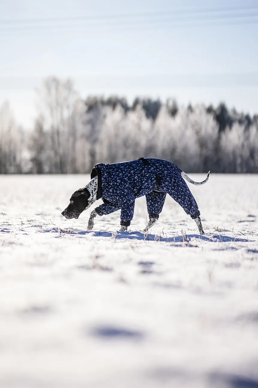 Χειμερινή φόρμα για σκύλο PAIKKA Winter Suit 38 x 30 x 2 cm φωτογραφία