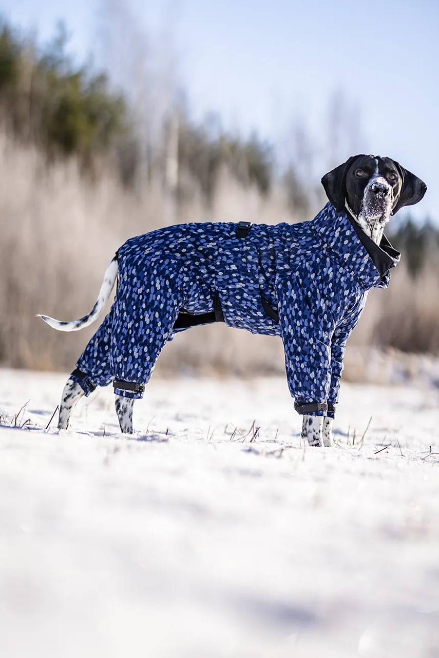 Χειμερινή φόρμα για σκύλο PAIKKA Winter Suit 49 x 38 x 2 cm φωτογραφία