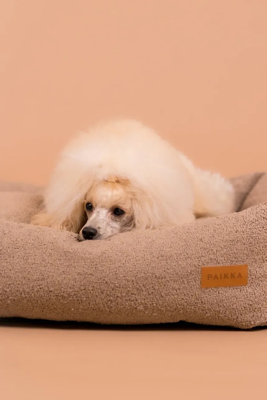 Κρεβάτι για κατοικίδια PAIKKA Bouclé 70 x 60 x 20 cm φωτογραφία