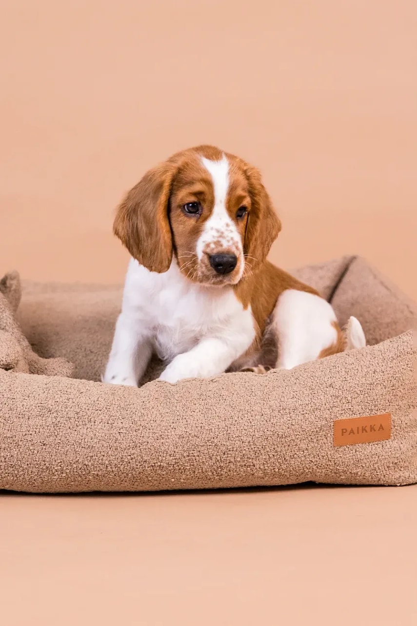 PAIKKA pat pentru animale de companie Bouclé 95 x 75 x 20 cm