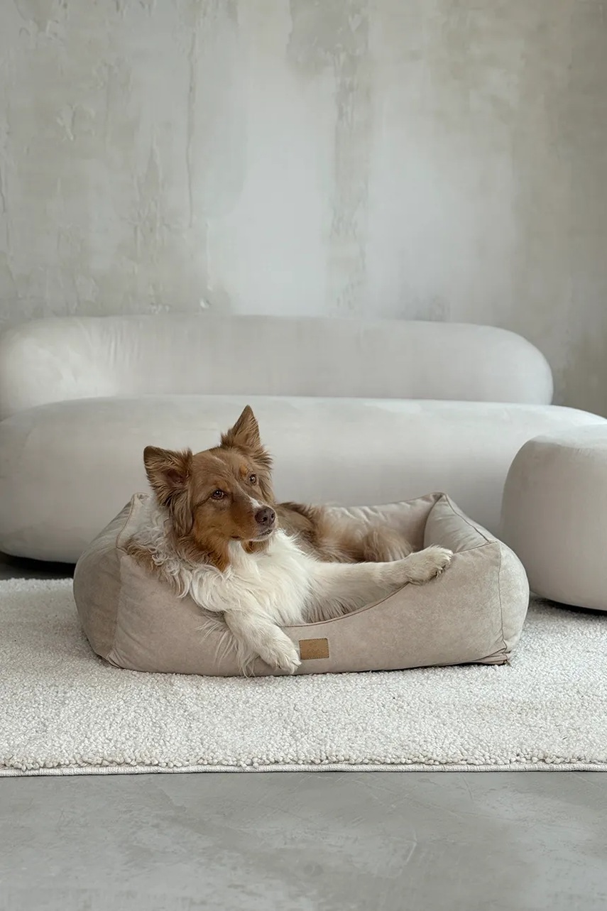 Κρεβάτι για κατοικίδια Bebobi Moe 85 x 75 x 20 cm φωτογραφία